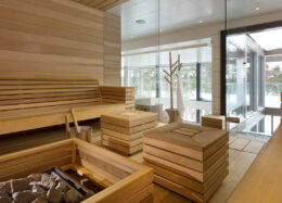 Hirsitalo Custom Home I, sauna